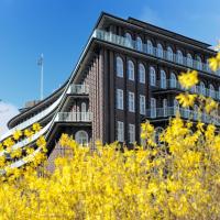 1560_1975 Blühende gelbe Forsythien vor dem Chilehaus Hamburg. | Bilder vom Fruehling in Hamburg; Vol. 1